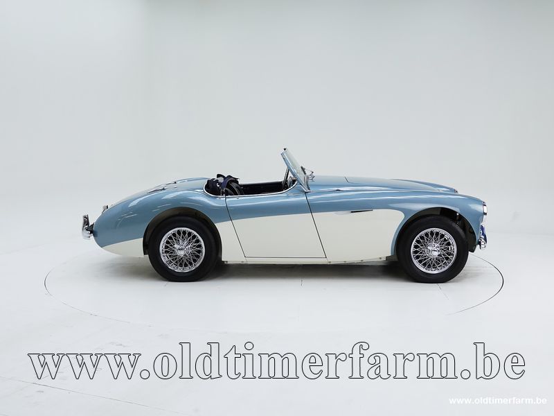 Austin Healey 100/4 BN 1 \'54 