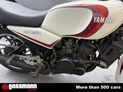 Andere RD 250 LC  / 38 PS / 247 ccm 