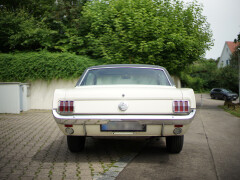 Ford Mustang T 66, 289