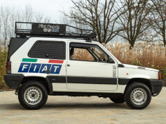 Fiat Panda Van Raid 4x4 