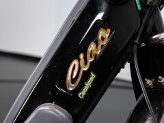 Piaggio CIAO PX CATALYZED 