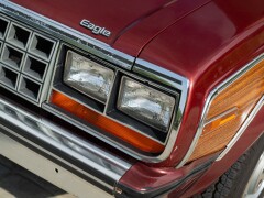 AMC EAGLE 