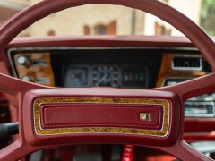 AMC EAGLE 