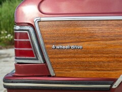 AMC EAGLE 