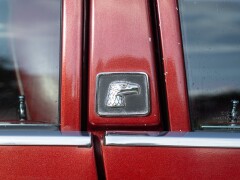 AMC EAGLE 